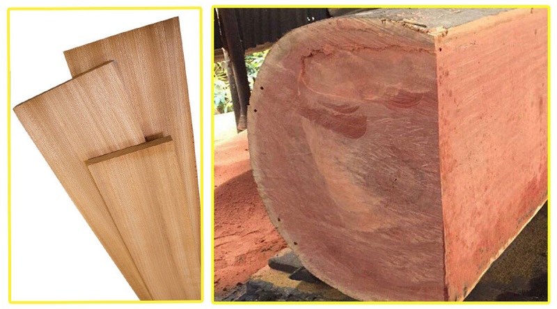 Thông tin cơ bản về gỗ xoan đào