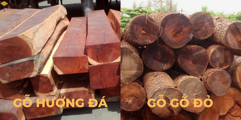 So sánh gỗ gõ đỏ và gỗ hương đá: Đặc điểm nhận diện