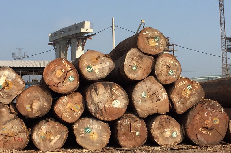 Cách phân biệt gỗ lim Lào và lim Nam Phi