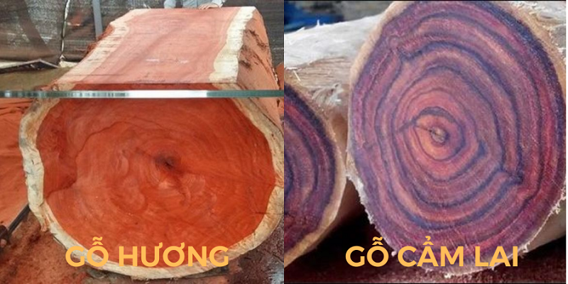 So sánh gỗ Cẩm Lai và gỗ Hương loại nào tốt hơn?